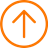 Seta